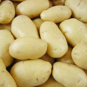 POTATO 1KG